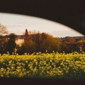 Download Cinta Terakhir Mp3 Song Free Cinta Terakhir By Aiman Lyrics Online Joox