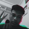 anak sapi