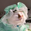 bunnywinmy