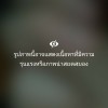 Musiclover