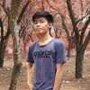 Fandi