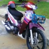 archey86