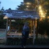 Windi gustiani