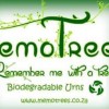 Memo Trees