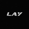 Lady Bug
