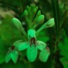 dianalubis2807