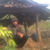 Fauzi Jimmy