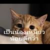 ส้ม โอออดีโอ้