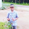 hendra p.