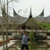helmifarel