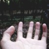 Firdaus Prayogaa