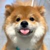 佘睿智
