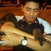fandi