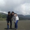 Pari Kesit