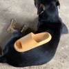 Oliang