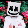 marshmello