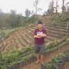 Alfatino Caesar Arnin Aris