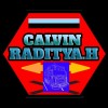 Calvin Raditya Handoko