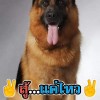 ราชสีงห์ บ่อเหล็กรอง