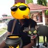 Semut Api