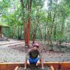 Aldy Kurniawan