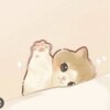 悠悠