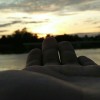 D_Donlaya