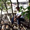 Doni Wardoyo