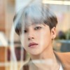 Lin_gnani____