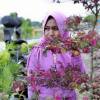 YuLie Yanti