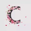 CC