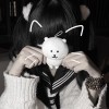 May.梅