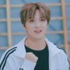 fullsun