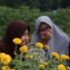 elsya16
