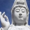 吴丽仙866