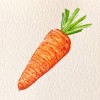 一枝胡蘿蔔🥕