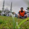 dede hamdani