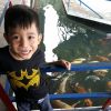 Fauzan Brobro