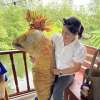 พีเณมิกา วงศ์เสนา