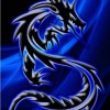 TheBlackDragon