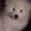 ♡︎