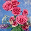 sweet