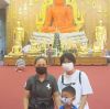 ใบเฟริน์ ลูกแม่ผึ้ง