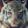 RB_SYAZMI