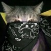 Sh!taboutyou