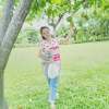 May Lay