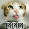 辞