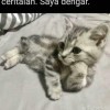 kak long