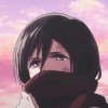 Mikasa budiman