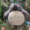 Yeung Mui Mui